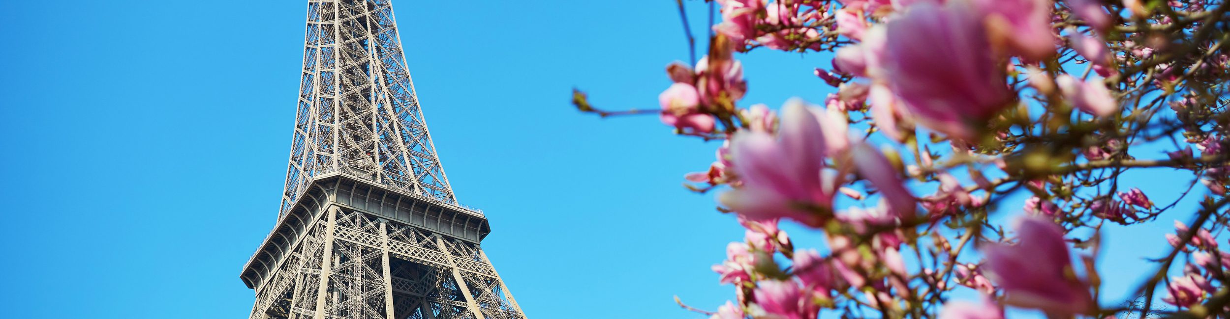 A shot of Eiffel Tower